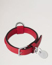 xs-leather-dog-collar
