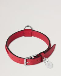 medium-leather-dog-collar