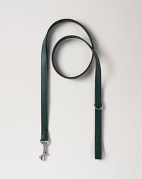 handheld-dog-leash