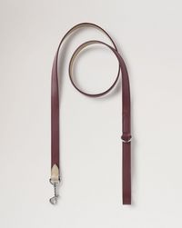 handheld-dog-leash