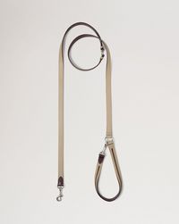 crossbody-dog-leash