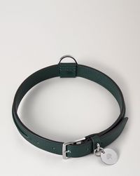 large-leather-dog-collar