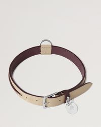 large-leather-dog-collar