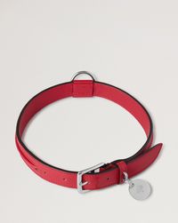 large-leather-dog-collar
