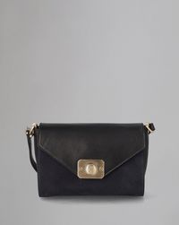 small-delphie
