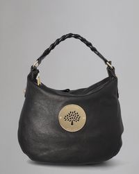 medium-daria-hobo