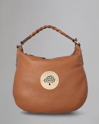 medium-daria-hobo