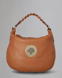 medium-daria-hobo